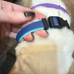 Фото отзыва 10893961