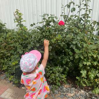 Комплект YOULALA: отзыв пользователя Детский Мир