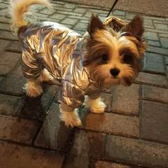 Фото отзыва 10783139