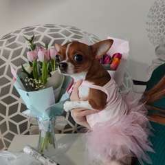 Фото отзыва 8851769