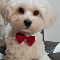 Фото отзыва 10579475