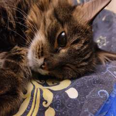 Фото отзыва 11053665