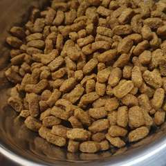 Фото отзыва 10813414