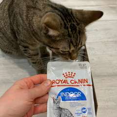 Фото отзыва 10695624