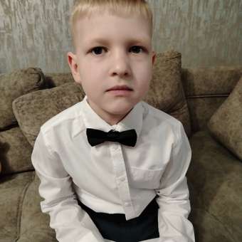 Рубашка Chessford: отзыв пользователя Детский Мир