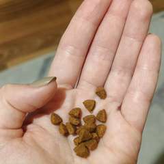 Фото отзыва 10582462