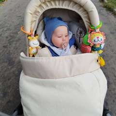 Фото отзыва 10531355