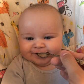 Каша безмолочная Gerber гречка 180г с 4месяцев: отзыв пользователя ДетМир