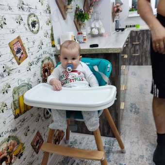 Стульчик для кормления Babyton Woody Turquoise трансформер: отзыв пользователя ДетМир