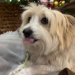 Фото отзыва 10916822