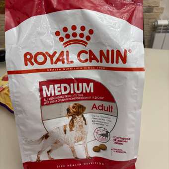 Корм для собак ROYAL CANIN средних пород 3кг: отзыв пользователя. Зоомагазин Зоозавр