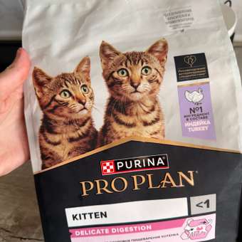 Корм сухой для котят PRO PLAN DELICATE DIGESTION 1.5 кг с индейкой: отзыв пользователя. Зоомагазин Зоозавр