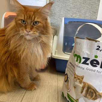 Наполнитель для кошачьего туалета Homzen комкующийся растительный 2.5кг: отзыв пользователя. Зоомагазин Зоозавр