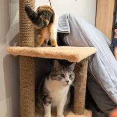 Фото отзыва 10917633