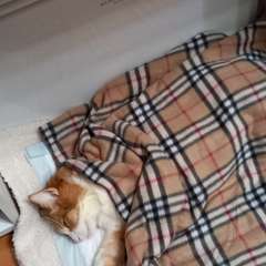 Фото отзыва 10798896