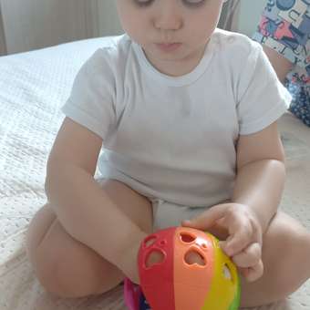 Игрушка Play Go погремушка: отзыв пользователя Детский Мир