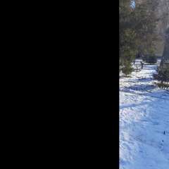 Фото отзыва 8248645