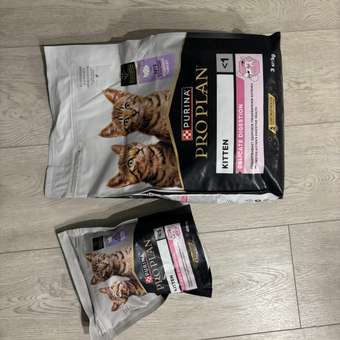 Корм сухой для котят PRO PLAN DELICATE DIGESTION 3 кг с индейкой: отзыв пользователя. Зоомагазин Зоозавр