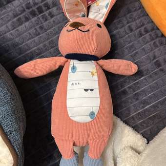 Игрушка для собак Barbaks Заяц мягкий пищит 42*18см: отзыв пользователя. Зоомагазин Зоозавр