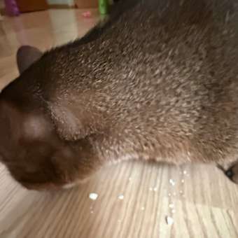 Витамины для кошек Unitabs Biotin Plus с Q10 120таблеток: отзыв пользователя. Зоомагазин Зоозавр