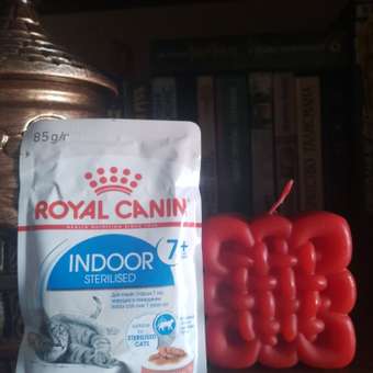 Корм для кошек ROYAL CANIN Indoor 85г для пожилых стерилизованных кошек 7+ соус пауч: отзыв пользователя. Зоомагазин Зоозавр