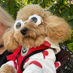 Фото отзыва 10505244