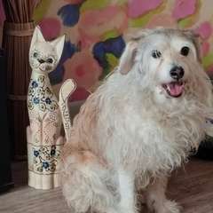 Фото отзыва 11003422