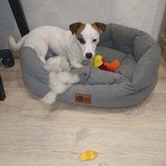 Фото отзыва 10702910