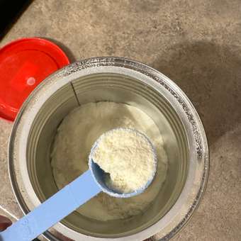 Смесь Semper Bifidus Exclusive 1 400г: отзыв пользователя ДетМир