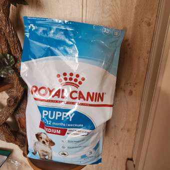 Корм для щенков ROYAL CANIN средних пород 2-12 месяцев 3кг: отзыв пользователя. Зоомагазин Зоозавр