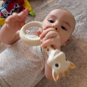 Прорезыватель Sophie la girafe Жирафик: отзыв пользователя Детский Мир