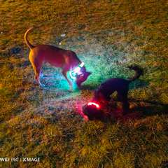 Фото отзыва 10346808