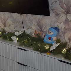 Фото отзыва 10914103