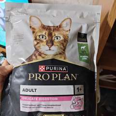 Фото отзыва 10668160