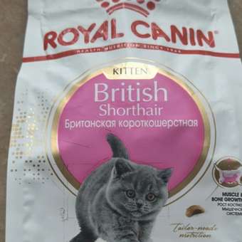 Корм сухой для котят ROYAL CANIN British Shorthair 400г породы британской короткошерстной: отзыв пользователя. Зоомагазин Зоозавр