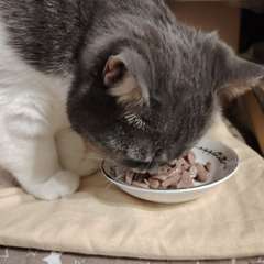 Фото отзыва 10975415