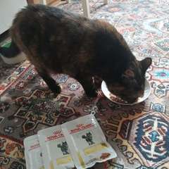 Фото отзыва 11349864