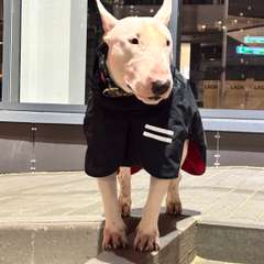 Фото отзыва 10647508