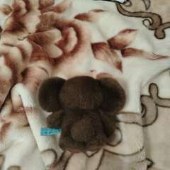 Фото отзыва 10866320