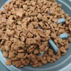 Фото отзыва 10458524