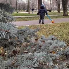 Фото отзыва 10692170