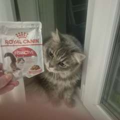 Фото отзыва 10725229