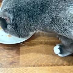 Фото отзыва 10977323