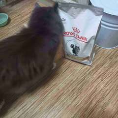 Фото отзыва 10763791