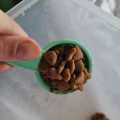 Фото отзыва 10458232