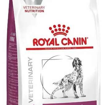 Корм для собак ROYAL CANIN Renal при почечной недостаточности 2кг: отзыв пользователя. Зоомагазин Зоозавр