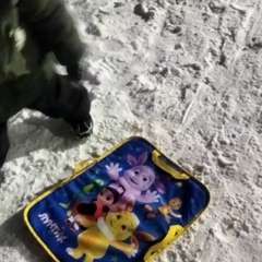 Фото отзыва 10829597