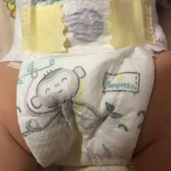 Подгузники Pampers Premium Care 2 (4-8 кг) 66 шт.: отзыв пользователя ДетМир