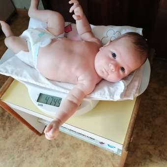 Подгузники Joonies Premium Soft для новорожденных NB (до 5 кг) 24 шт.: отзыв пользователя Детский Мир