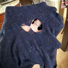 Фото отзыва 8357825